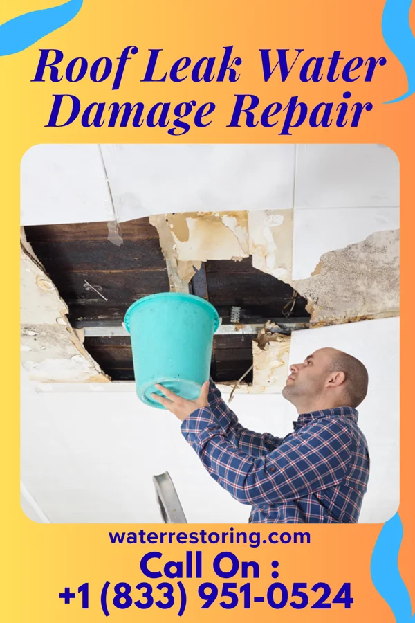 Roof Leak Water Damage Repair in Statesville, TN