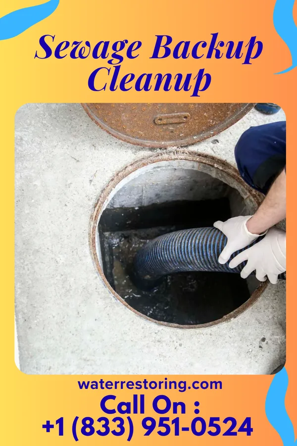 Sewage Backup Cleanup in Statesville, TN